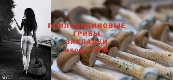 гашик Рославль