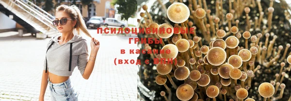 круглые Абаза