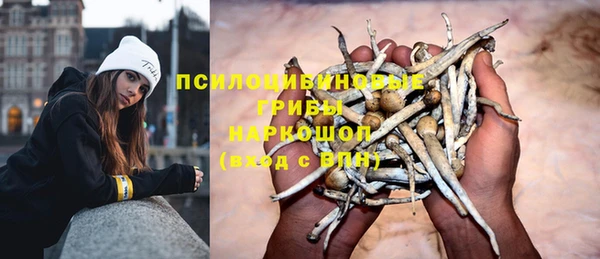 прущий лед Россошь