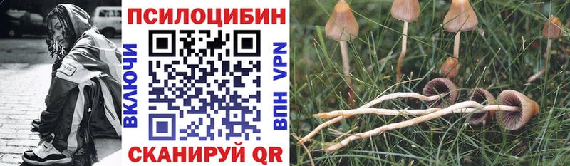 Галлюциногенные грибы мицелий Абинск