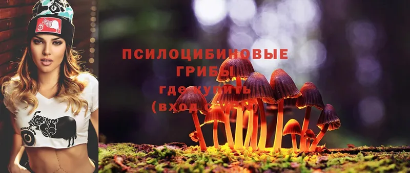 Галлюциногенные грибы MAGIC MUSHROOMS  кракен ссылки  Абинск 