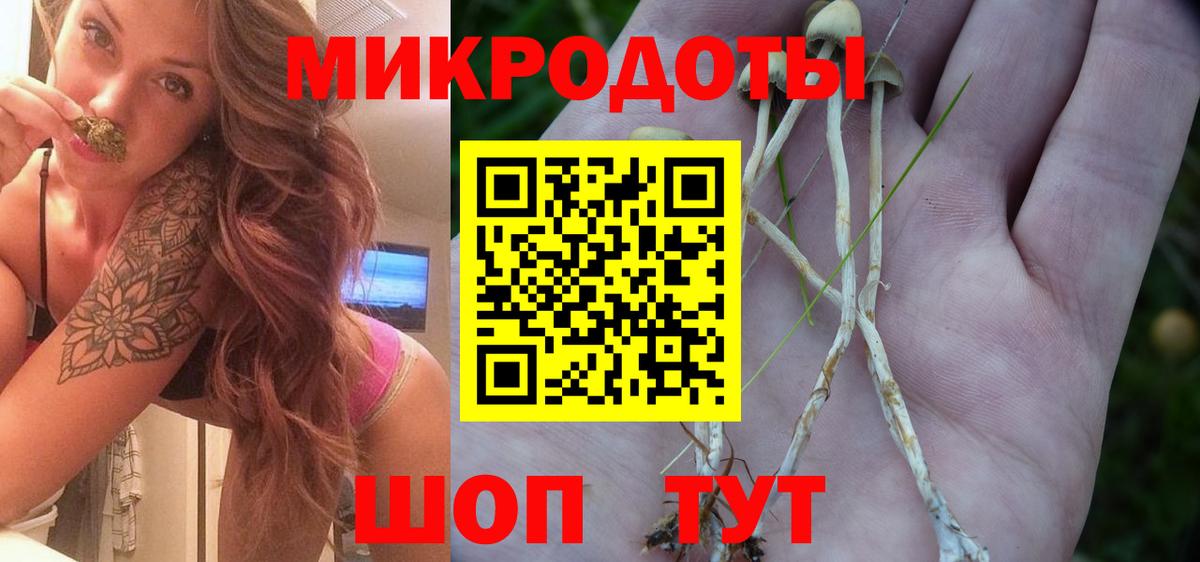 Псилоцибиновые грибы прущие грибы  Вход с VPN  Абинск 